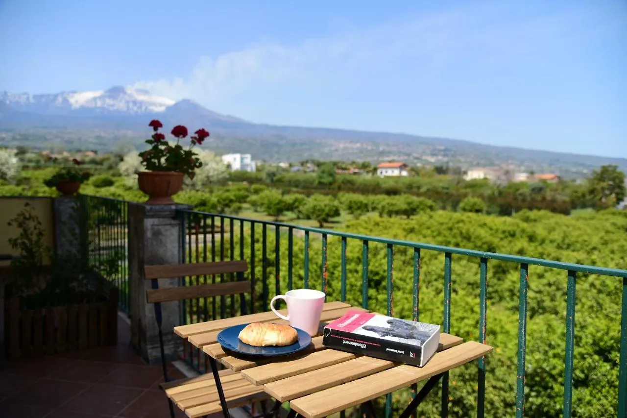 *** Bed & Breakfast Bed and Breakfast Giardino Arancio Giarre Italia