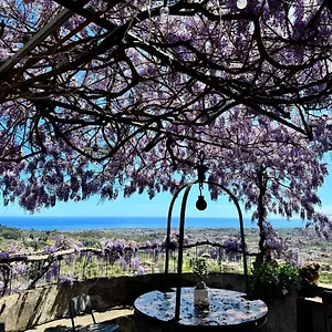 Il Noceto Dell'etna Bed & Breakfast