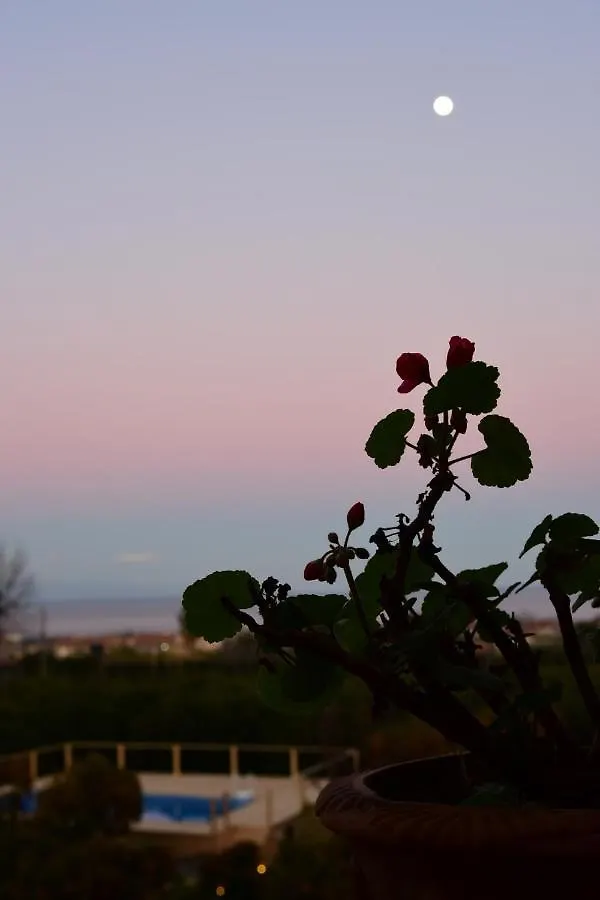 Giardino Arancio Bed & Breakfast Giarre 3*,
