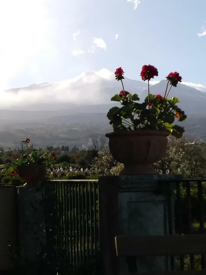 Giardino Arancio Bed & Breakfast Giarre